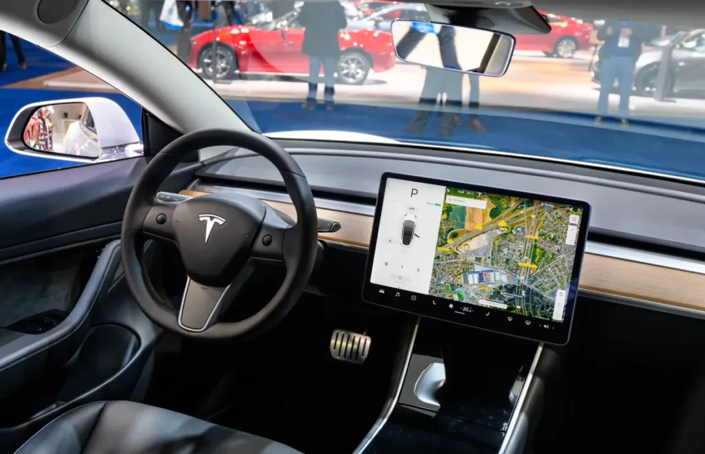 Tesla robotaxi service